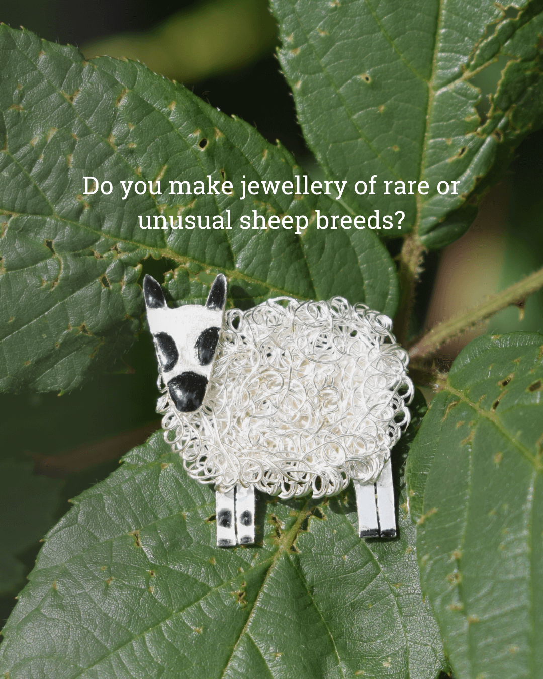 kerry hill sheep gift, sheep brooch, kerry hill sheep