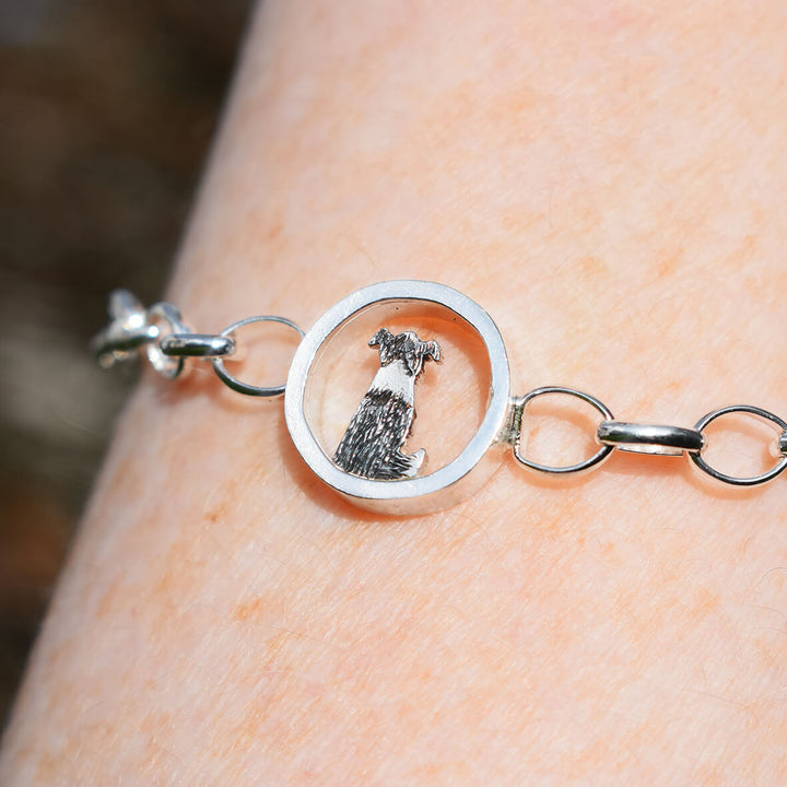 Border Collie Bundle