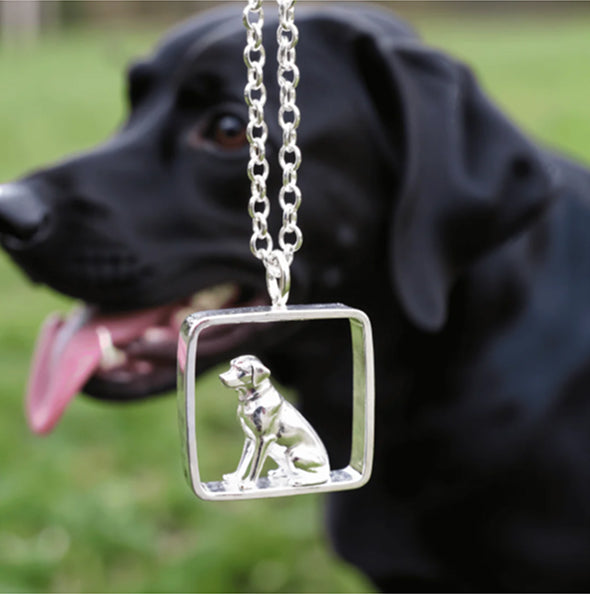 Dogs