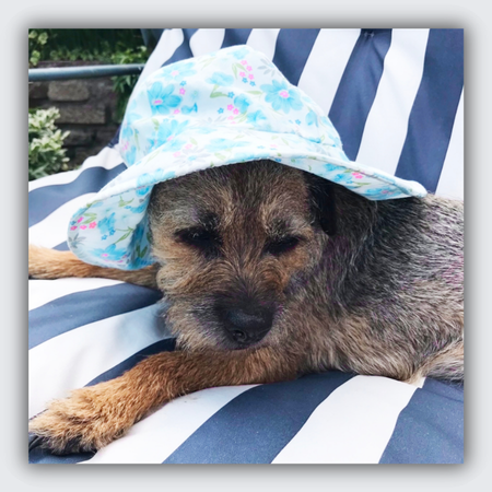Border Terrier Dog Memorial Necklace in Silver and Rose Gold | Meg's Story