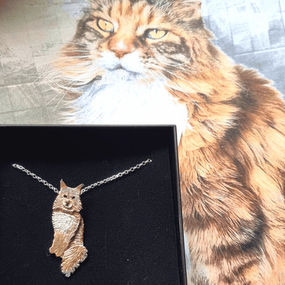 Maine Coon Commission
