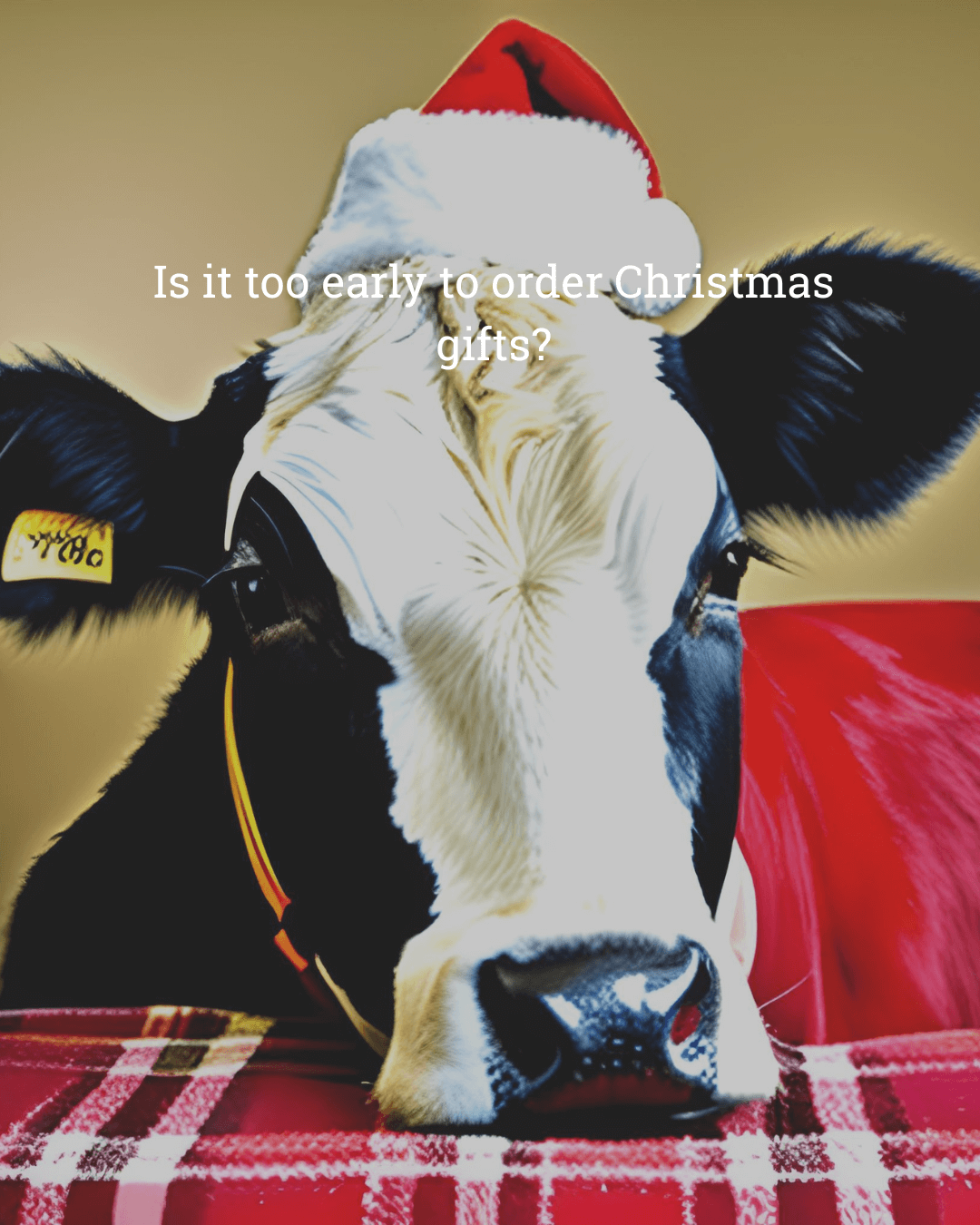cow christmas present for woman, cow themed gifts, cow jewellery
