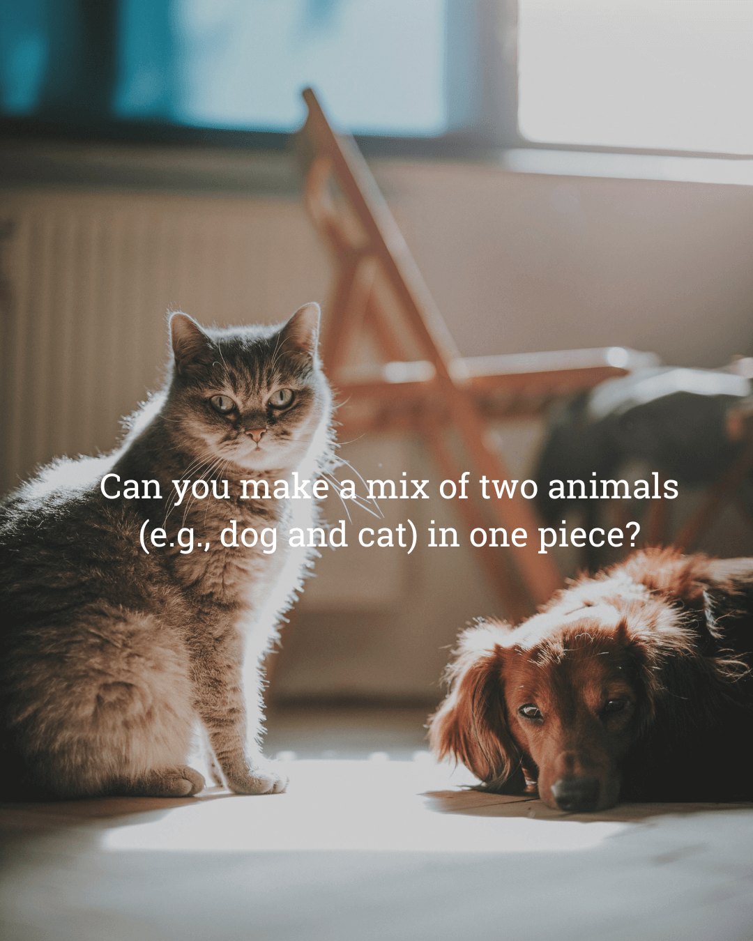 fur family gift, fur family jewellery, cat and dog jewellery