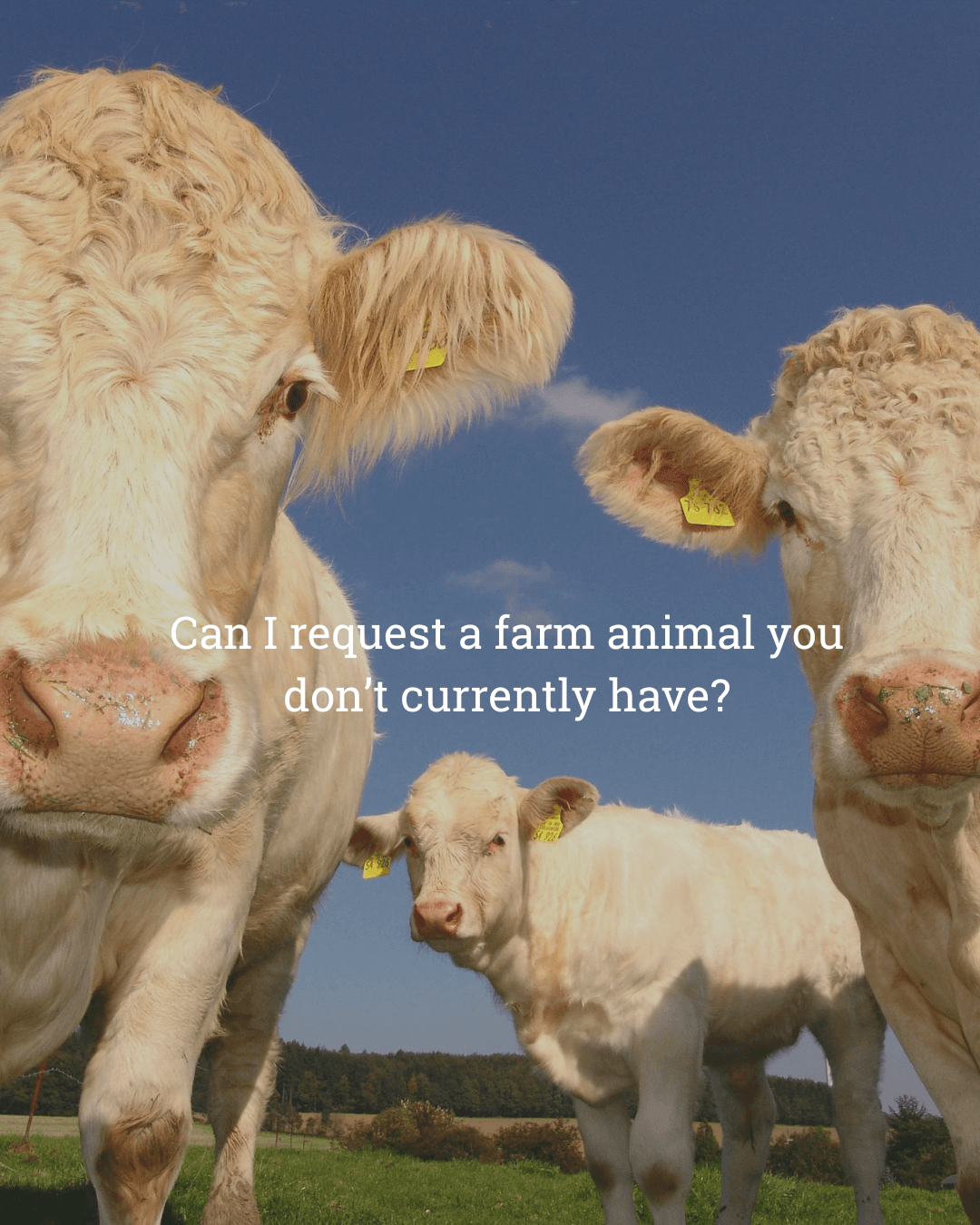 cow jewellery, farm jewellery, gift for farmer, young farmer jewellery