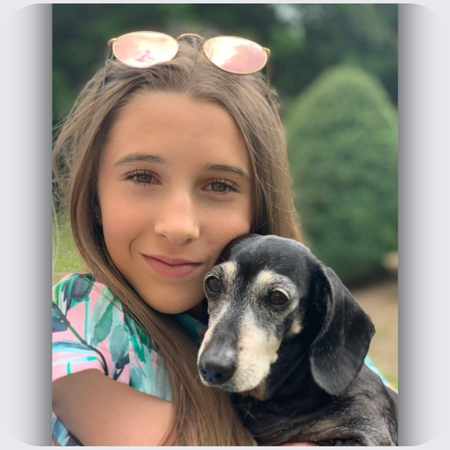 dachshund memorial necklace