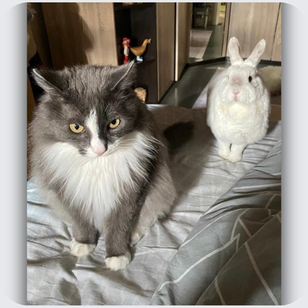 A Friendship You Don't See Every Day