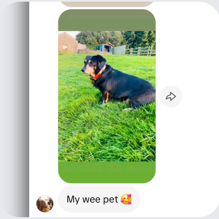 photo for custom dachshund necklace