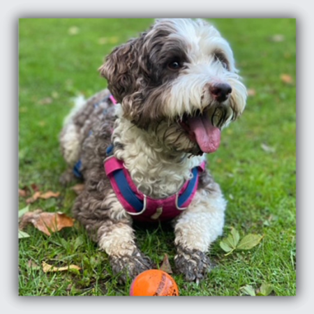 custom borderdoodle necklace. be more bob