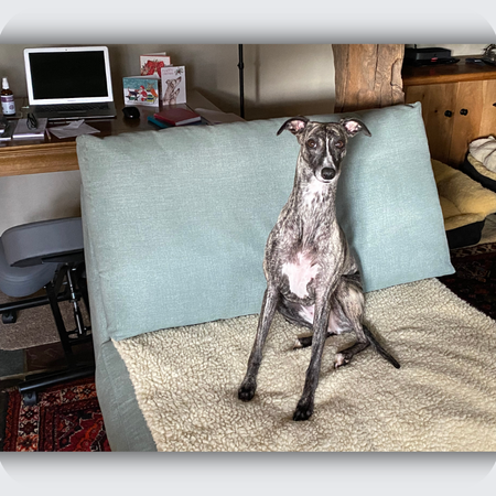 photo used to make custom silver brindle whippet ornament