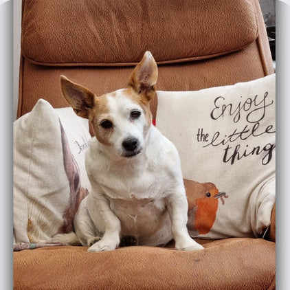 jack russell terrier necklace, custom dog jewellery