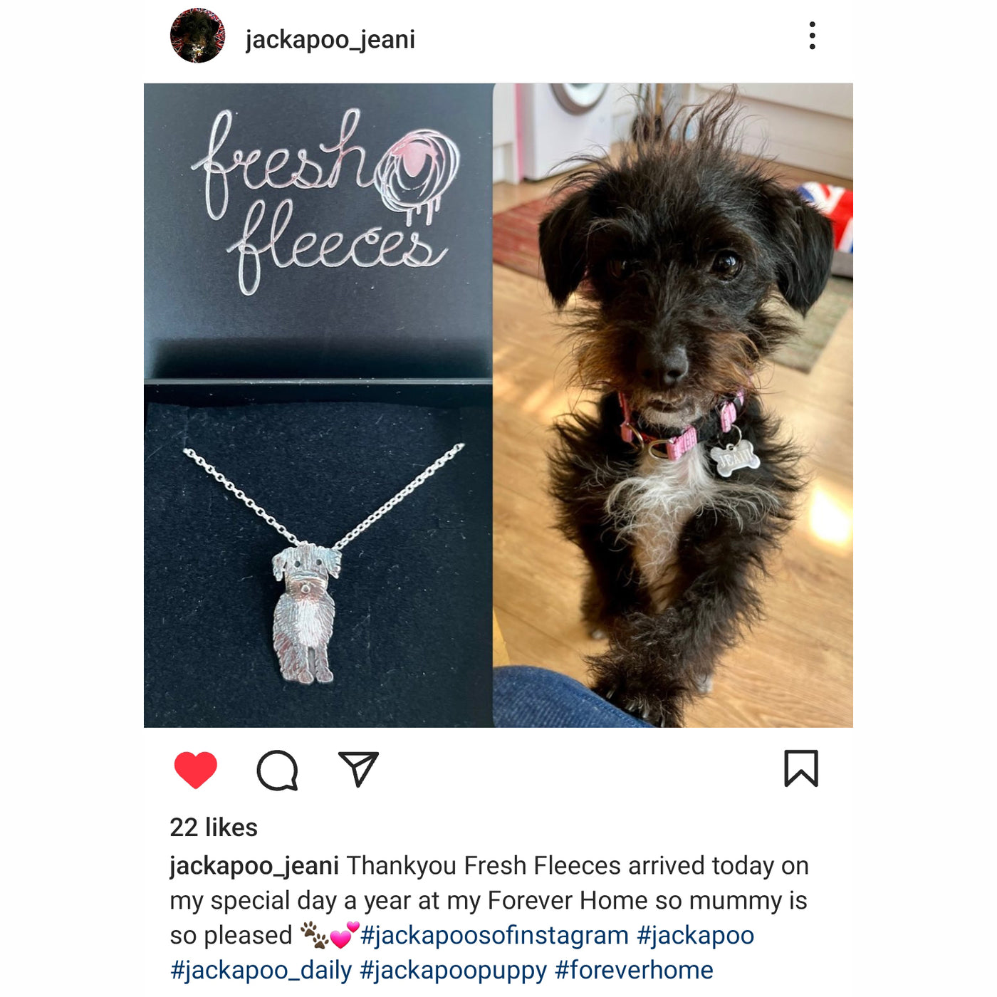 jackapoo necklace, jackapoo jewellery, my dog jewellery, necklace that looks like my dog, pet jewellery